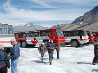 2010076892 Columbia Icefield - Jasper Nat Park - Alberta - Canada  - Jul 29