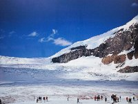 2010076905 Columbia Icefield - Jasper Nat Park - Alberta - Canada  - Jul 29