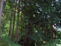 2010077579 Butchart Gardens - Victoria - British Columbia - Canada - Aug 04