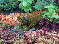 2010077606 Butchart Gardens - Victoria - British Columbia - Canada - Aug 04