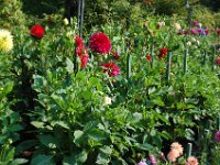 2010077616 Butchart Gardens - Victoria - British Columbia - Canada - Aug 04