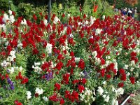 2010077622 Butchart Gardens - Victoria - British Columbia - Canada - Aug 04