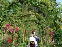 2010077630 Butchart Gardens - Victoria - British Columbia - Canada - Aug 04