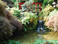 2010077657 Butchart Gardens - Victoria - British Columbia - Canada - Aug 04