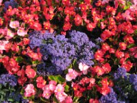 2010077677 Butchart Gardens - Victoria - British Columbia - Canada - Aug 04