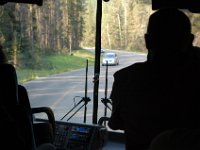 2010077118 Bear - Mount Robson Provincial Park - British Columbia - Canada  - Jul 31