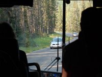 2010077119 Bear - Mount Robson Provincial Park - British Columbia - Canada  - Jul 31