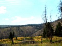 2010077157 Forest Fire Along The North Thompson River - British Columbia - Canada  - Jul 31