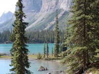 2010077032 Maligne Lake - Jasper Nat Park - Alberta - Canada  - Jul 30 : Maligne Lake, Jasper National Park
