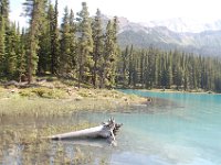 2010077042 Maligne Lake - Jasper Nat Park - Alberta - Canada  - Jul 30 : Maligne Lake, Jasper National Park
