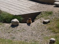 2010076351 Rogers Pass - British Columbia - Canada - Western Canada Vacation - Jul 27