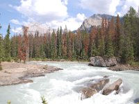 2010076401 Natural Bridge & Kicking Horse River - British Columbia - Canada  - Jul 27
