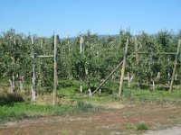2010076299 Kelowna - British Columbia - Canada - Western Canada Vacation - Jul 26