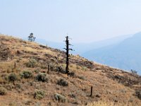 2010077185 Forest Fire - North Thompson River - British Columbia - Canada  - Aug 01