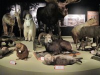 2010077513 Victoria - British Columbia - Canada - Aug 03