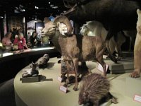 2010077516 Victoria - British Columbia - Canada - Aug 03