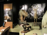 2010077517 Victoria - British Columbia - Canada - Aug 03