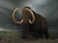 2010077518 Victoria - British Columbia - Canada - Aug 03