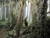 2010077521 Victoria - British Columbia - Canada - Aug 03