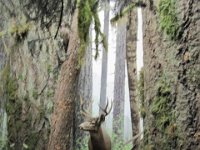 2010077522 Victoria - British Columbia - Canada - Aug 03