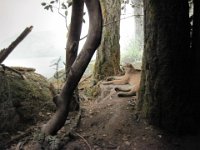 2010077523 Victoria - British Columbia - Canada - Aug 03