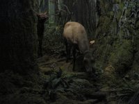 2010077524 Victoria - British Columbia - Canada - Aug 03