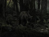 2010077527 Victoria - British Columbia - Canada - Aug 03