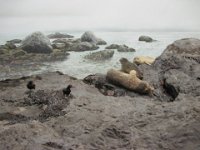 2010077528 Victoria - British Columbia - Canada - Aug 03