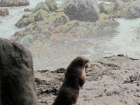 2010077531 Victoria - British Columbia - Canada - Aug 03