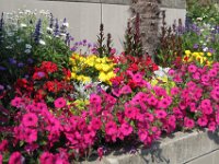 2010077565 Victoria - British Columbia - Canada - Aug 03