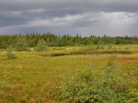 2012069477 Cabot Trail National Park - Cape Breton Island - Nova Scotia - Jun 24