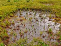 2012069479 Cabot Trail National Park - Cape Breton Island - Nova Scotia - Jun 24