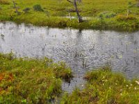2012069481 Cabot Trail National Park - Cape Breton Island - Nova Scotia - Jun 24