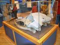 2012069529 Cape Smokey and the Lobster Fishing Industry - Cape Breton Island - Nova Scotia - Jun 25