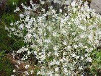 2012069591 Keltic Lodge - Ingonish - Nova Scotia - Jun 25