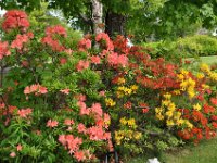 2012069602 Keltic Lodge - Ingonish - Nova Scotia - Jun 25