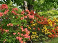 2012069604 Keltic Lodge - Ingonish - Nova Scotia - Jun 25