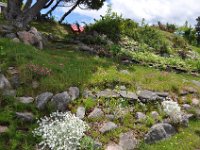 2012069633 Keltic Lodge - Ingonish - Nova Scotia - Jun 25