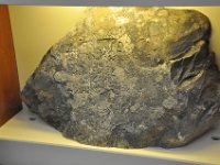 2012069311 Glooscap Heritage Centre - Truro - Nova Scotia - Jun 23