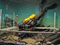 2012070482 Halifax - Nova Scotia - Canada - Jun 30