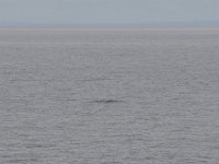 2012069902 Nova Scotia to Prince Edward Island Ferry - Caribou - Nova Scotia - Canada - Jun 27
