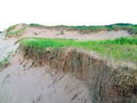 2012069945 Prince Edward Island  National Park - Brackley Beach - PEI - Canada - Jun 27