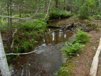 2012070077 Acadian Town - Rustico - PEI - Canada - Jan 28