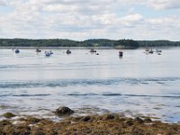 2012070719 Campobello Island - New Brunswick - Canada - Jul 02