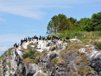 2012069167  Saint John - New Brunswick - Canada - Jun 21