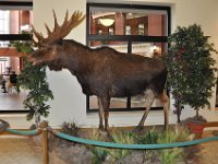 2012069184  Saint John - New Brunswick - Canada - Jun 21