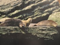 2012069207  Saint John - New Brunswick - Canada - Jun 21