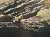 2012069208  Saint John - New Brunswick - Canada - Jun 21