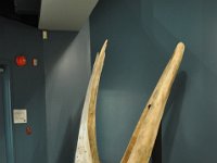 2012069209  Saint John - New Brunswick - Canada - Jun 21