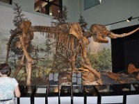 2012069214  Saint John - New Brunswick - Canada - Jun 21